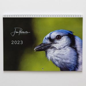 2023 Calendar