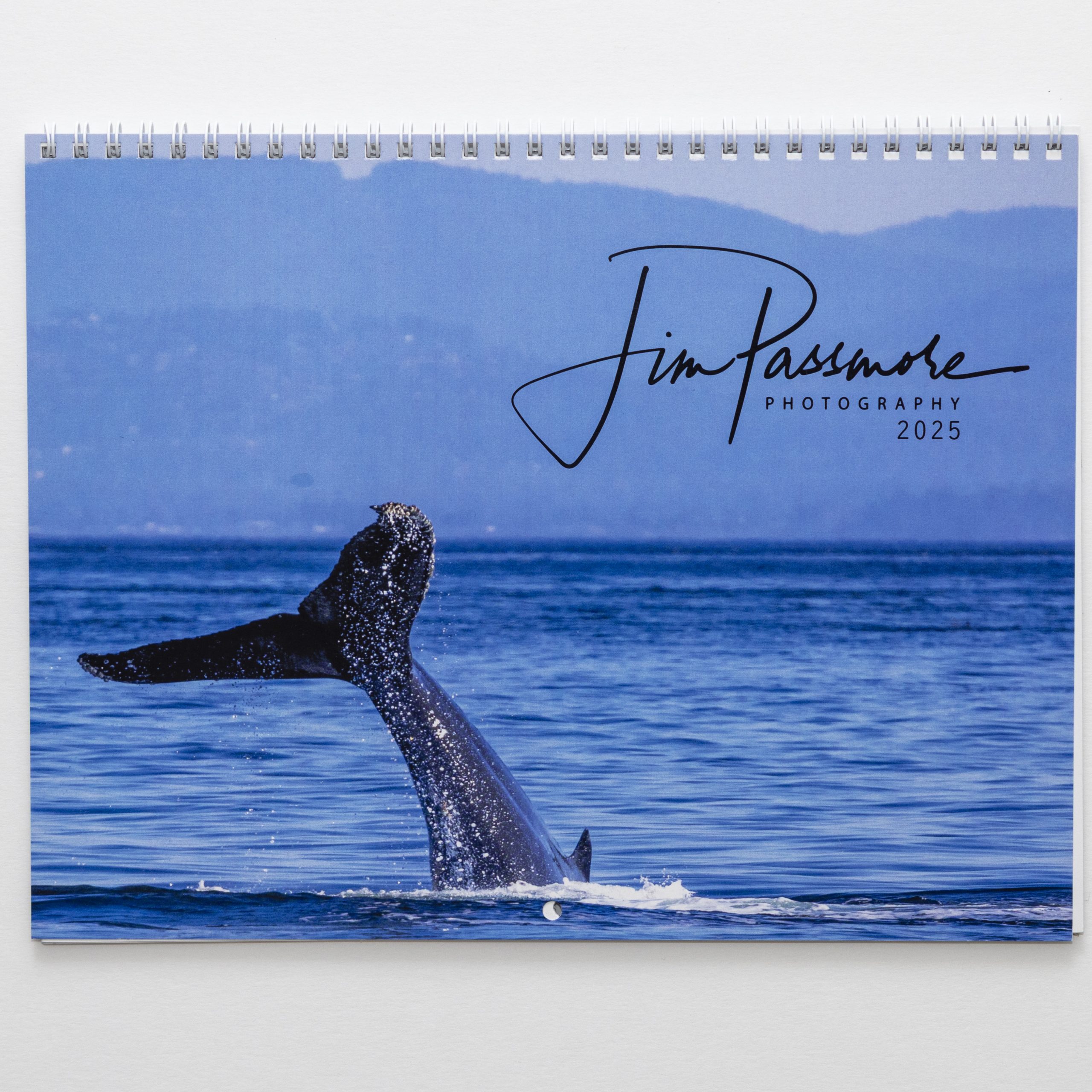 2025 Wildlife Wall Calendar