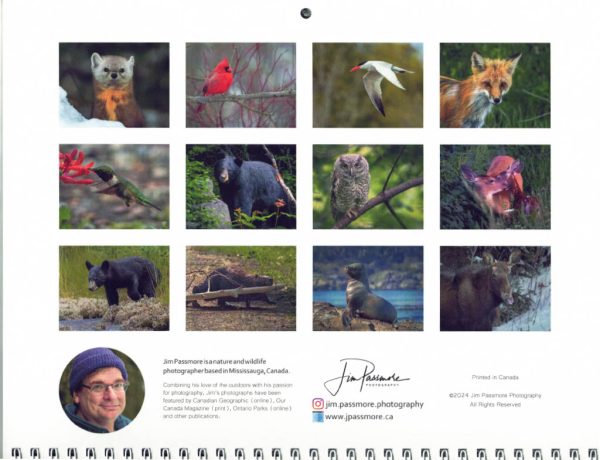 2025 Wildlife Wall Calendar - Image 2