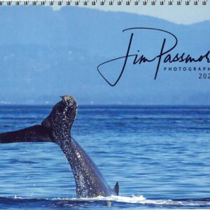 2025 Wildlife Wall Calendar