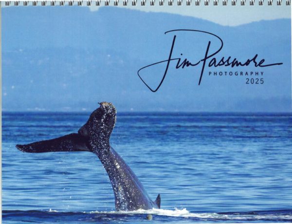 2025 Wildlife Wall Calendar