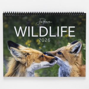 2026 Wildlife Wall Calendar